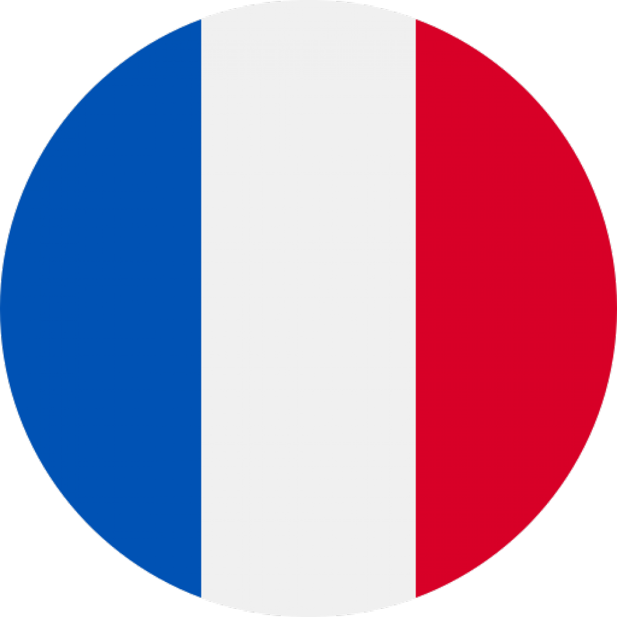 Échafaudages aux normes françaises